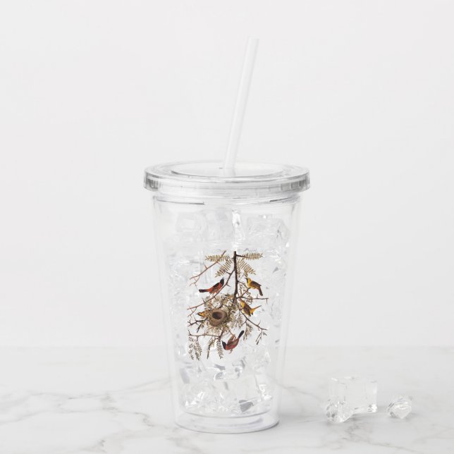 Orchard Oriole Bird Family and Nest Acrylic Tumbler (Back Ice)