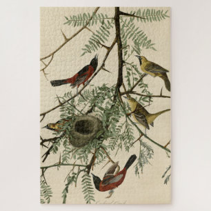 Orchard Oriole from Audubon's Birds of America Jigsaw Puzzle