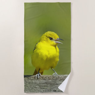 Orchard Oriole - Original Photograph Beach Towel