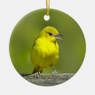 Orchard Oriole - Original Photograph Ceramic Ornament