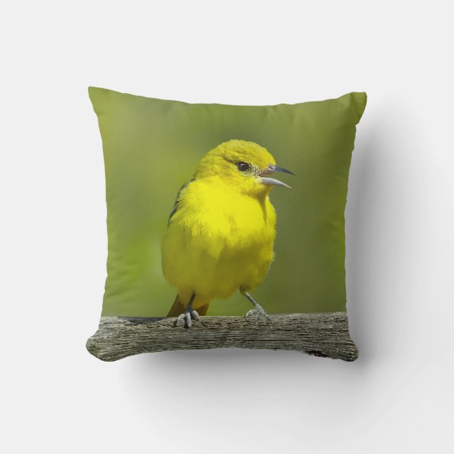 Orchard Oriole - Original Photograph Cushion (Front)