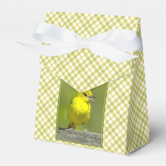 Orchard Oriole - Original Photograph Favour Box (Front Side)