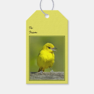 Orchard Oriole - Original Photograph Gift Tags