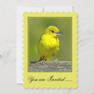Orchard Oriole - Original Photograph Invitation