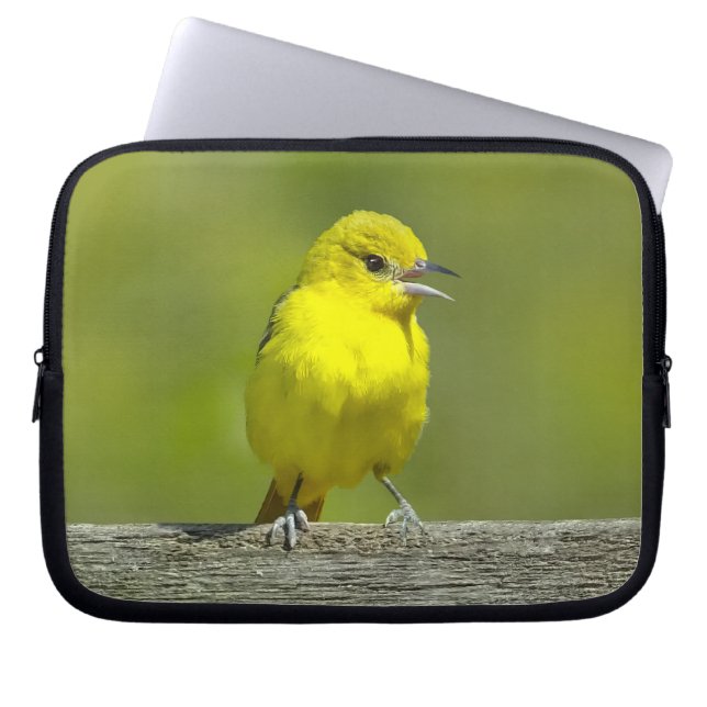 Orchard Oriole - Original Photograph Laptop Sleeve (Front)