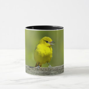 Orchard Oriole - Original Photograph Mug