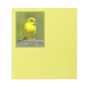 Orchard Oriole - Original Photograph Notepad