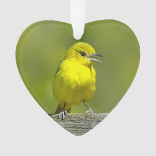 Orchard Oriole - Original Photograph Ornament