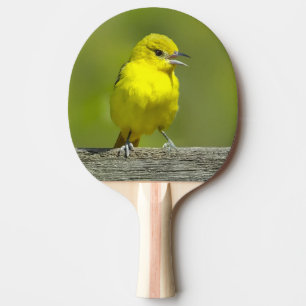 Orchard Oriole - Original Photograph Ping Pong Paddle