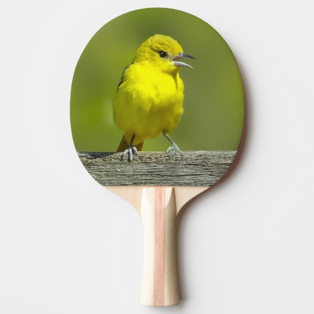 Orchard Oriole - Original Photograph Ping Pong Paddle (Front)