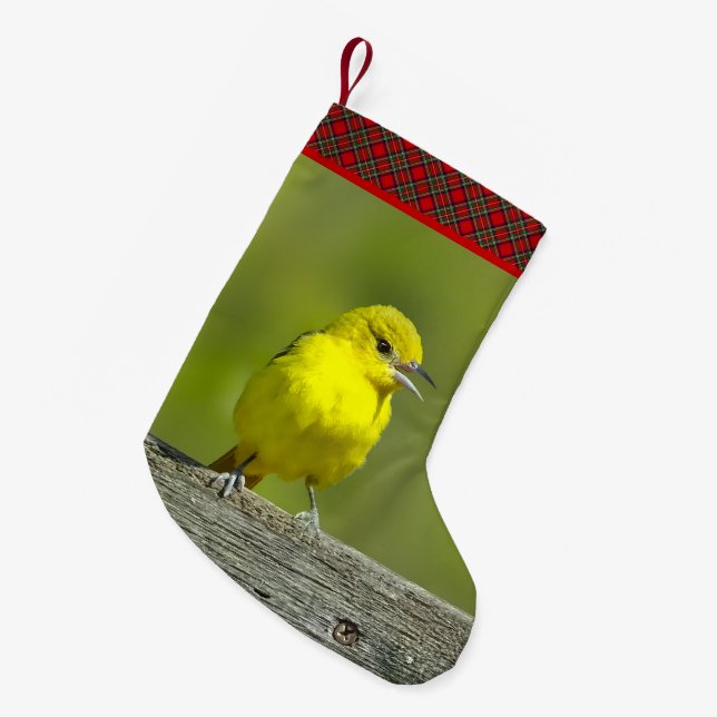 Orchard Oriole - Original Photograph Small Christmas Stocking (Front (Hanging))