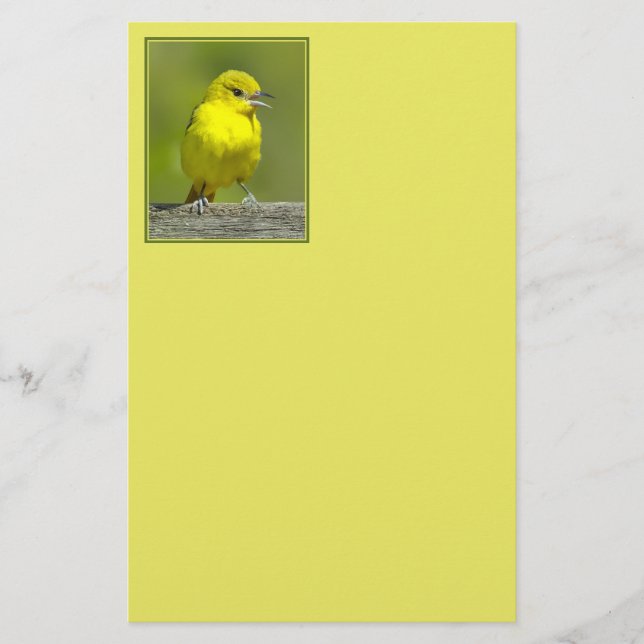 Orchard Oriole - Original Photograph Stationery (Front)