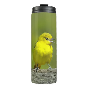 Orchard Oriole - Original Photograph Thermal Tumbler