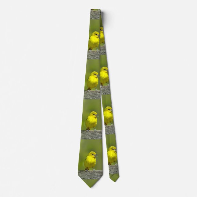 Orchard Oriole - Original Photograph Tie (Front)