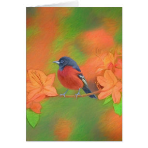 Orchard Oriole Songbird Painting Original Bird Art