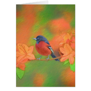 Orchard Oriole Songbird Painting Original Bird Art