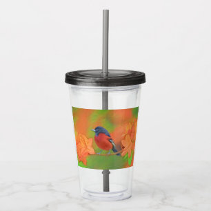 Orchard Oriole Songbird Painting Original Bird Art Acrylic Tumbler