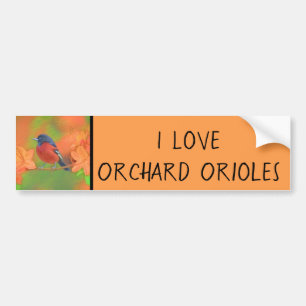 Orchard Oriole Songbird Painting Original Bird Art Bumper Sticker