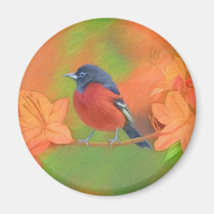 Orchard Oriole Songbird Painting Original Bird Art Magnet
