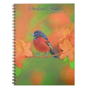 Orchard Oriole Songbird Painting Original Bird Art Notebook