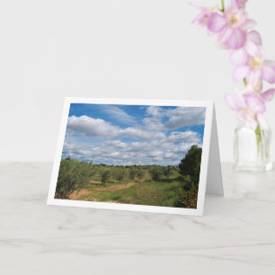 Orchard Path Sky Landscape Card