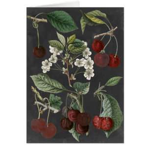 Orchard Varieties I