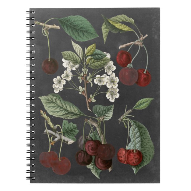 Orchard Varieties I Notebook (Front)