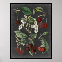 Orchard Varieties I
