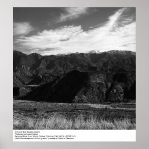 Orchards Near Banning Heights by Ansel Adams Poster
