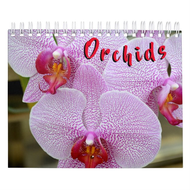 Orchid 12 Month Calendar (Cover)