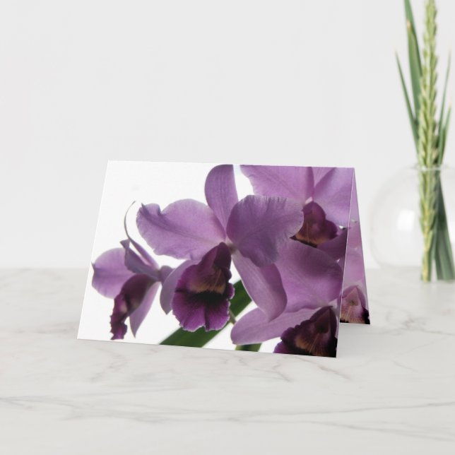 Orchid 1 All-Purpose Greeting/Invitation Card (Front)