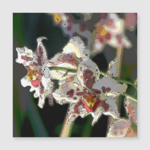 Orchid_2015_0505