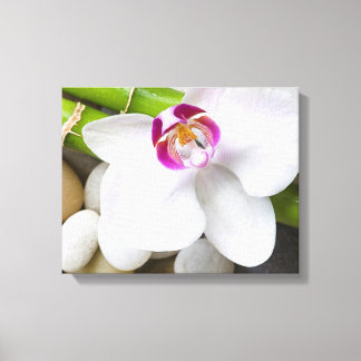 orchid and Bamboo Canvas Print