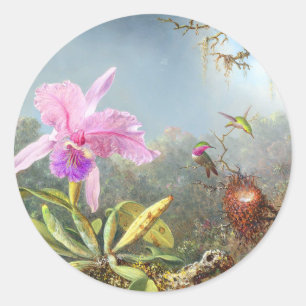 Orchid and three hummingbirds  classic round sticker