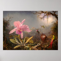 ORCHID AND THREE HUMMINGBIRDS