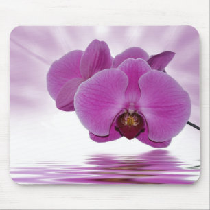 Orchid Aurora Mouse Pad