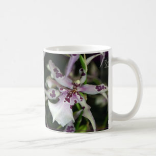 Orchid Beallara Mug
