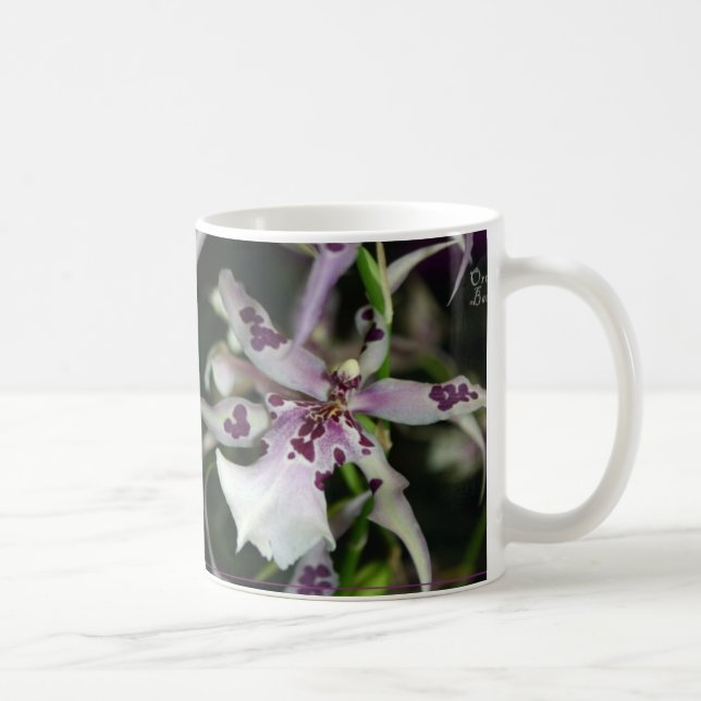 Orchid Beallara Mug (Right)