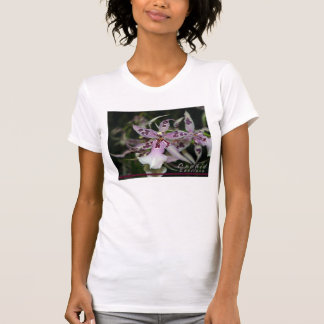 Orchid Beallara Shirt
