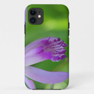 Orchid Beauty iPhone 11 Case
