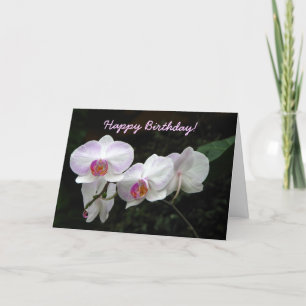 Orchid Birthday Greeting Card