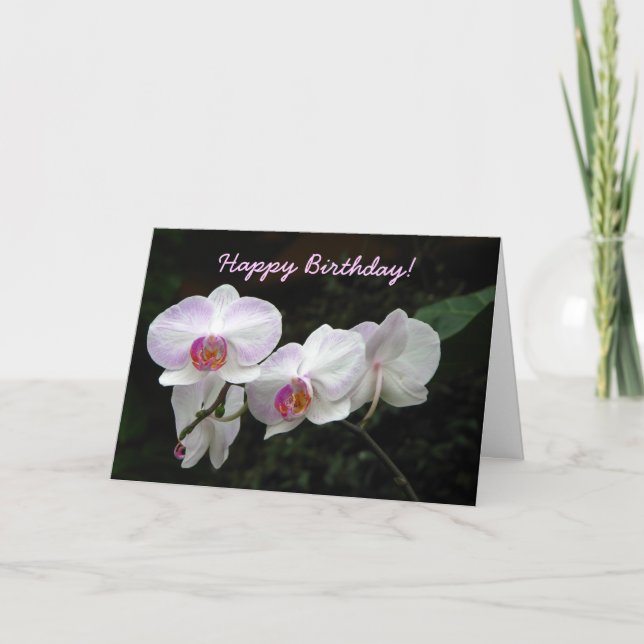 Orchid Birthday Greeting Card (Front)