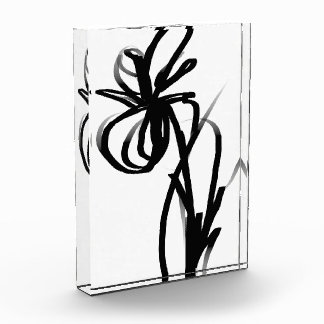 Orchid Blanc: Abstract White & Black Photo Block