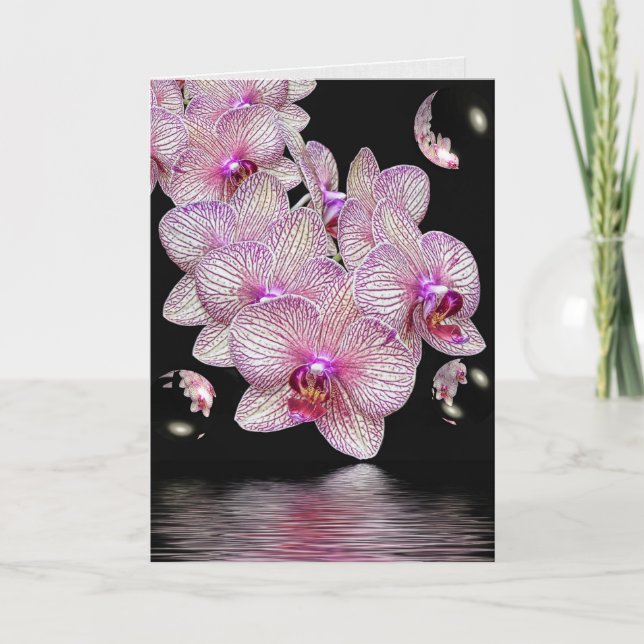 Orchid Blooms with Bubbles Card (Front)