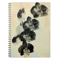 Orchid Blush Panels III
