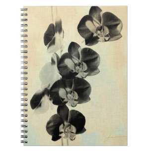 Orchid Blush Panels III Notebook