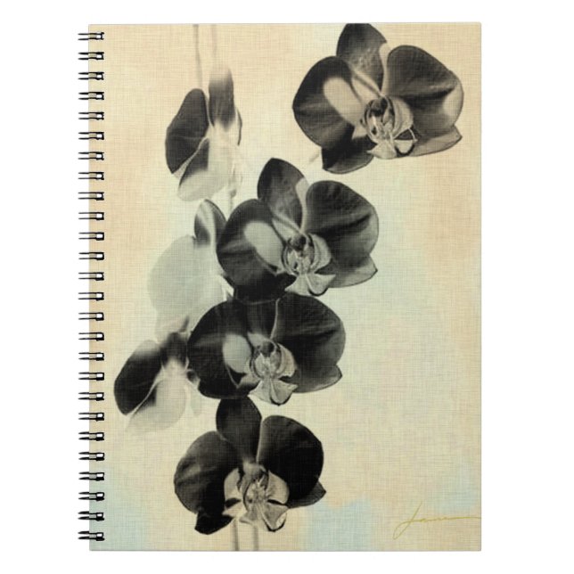 Orchid Blush Panels III Notebook (Front)