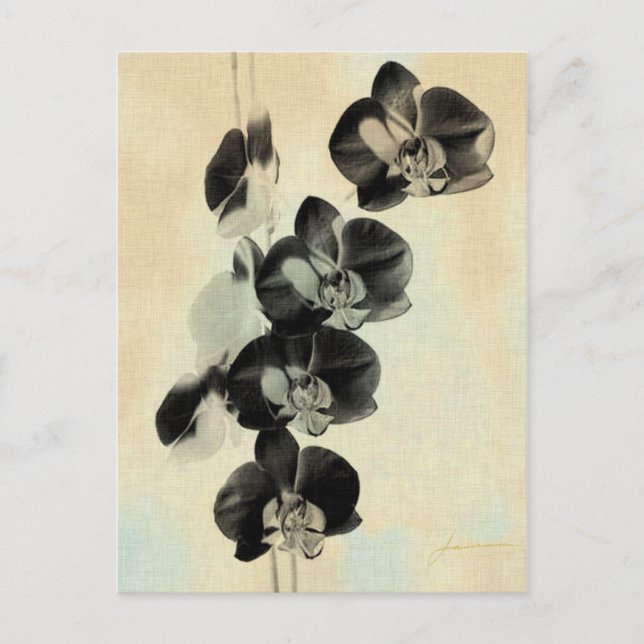 Orchid Blush Panels III Postcard (Front)