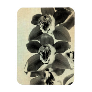 Orchid Blush Panels IV Magnet