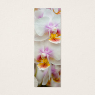 Orchid Bookmark
